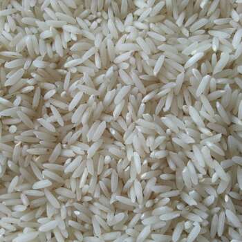 شناخت و خرید بدون واسطه برنج اصیل گیلانی