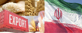 صادرات برنج ایران؛ برنج ایرانی به کدام کشورها صادر میشود؟